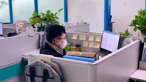 疫情期间，Z6官网软件成功研发7套防疫助力软件